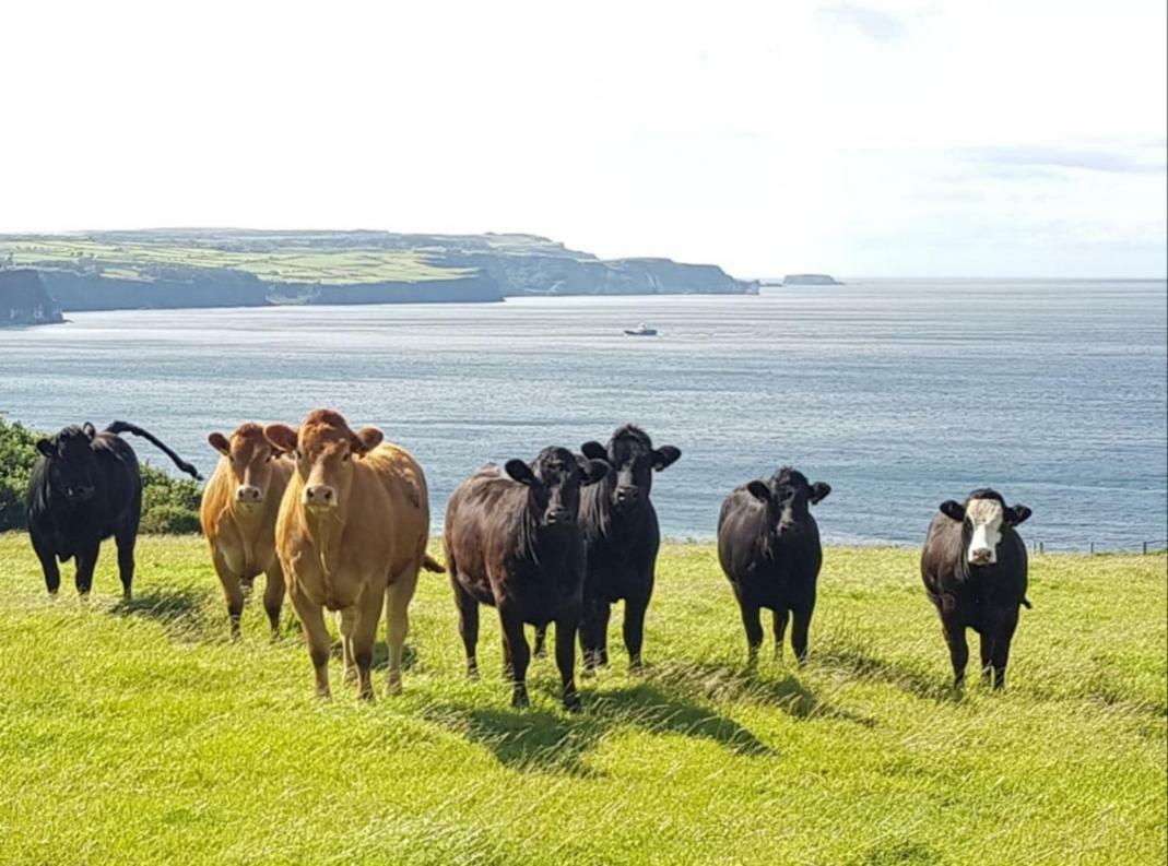 Tornabodagh House Ballycastle Buitenkant foto